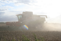 Thumbnail of Sunlit combine.jpg